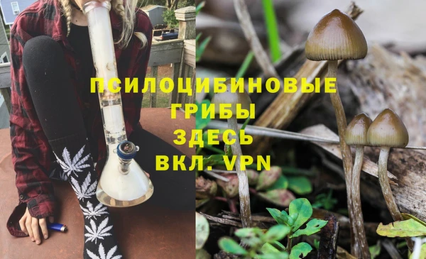 ECSTASY Нягань