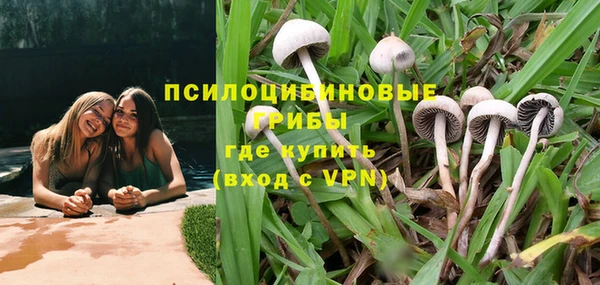 экстази Осташков