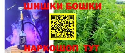 гидра Кингисепп