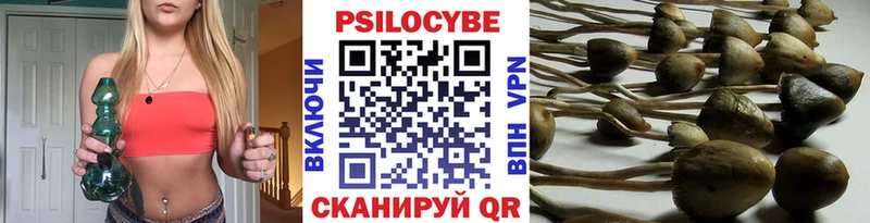 Псилоцибиновые грибы GOLDEN TEACHER  Нижний Тагил 