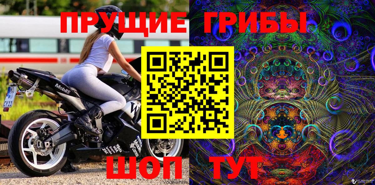 Галлюциногенные грибы Cubensis Нижний Тагил